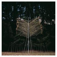 Виниловая пластинка Interior - Sculpture Of Time (Apocalypse) (Black Vinyl LP)