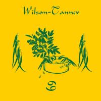 Виниловая пластинка Wilson Tanner - 69 (Black Vinyl LP)