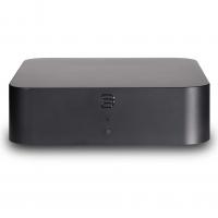 Сетевой хаб Bluesound HUB (CB130)