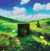 Виниловая пластинка Rainbow Kitten Surprise - Bones (Black Vinyl LP)
