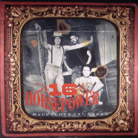 Виниловая пластинка 16 Horsepower - Sackcloth 'n' Ashes (Black Vinyl LP)