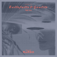 Виниловая пластинка Bellofatto & Gentile - Night Swim (Black Vinyl LP)