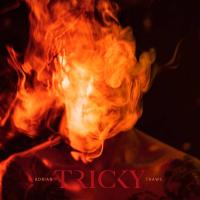 Виниловая пластинка Tricky - Adrian Thaws (Black Vinyl 2LP)