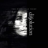Виниловая пластинка The Pineapple Thief - Dissolution (BlackVinyl LP)