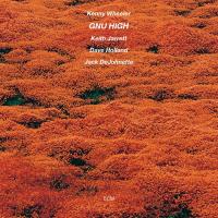 Виниловая пластинка Kenny Wheeler - Gnu High (Analogue) (Black Vinyl LP)