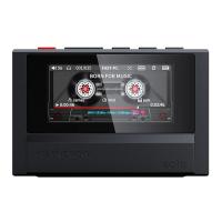 Портативный MP3-плеер FiiO Snowsky Echo 4Гб (F4402E) Black