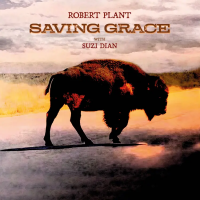 Виниловая пластинка Robert Plant - Saving Grace (Black Vinyl LP)
