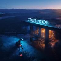 Виниловая пластинка Owl City - Coco Moon (Black Vinyl 2LP)