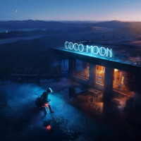 Виниловая пластинка Owl City - Coco Moon (Black Vinyl 2LP)