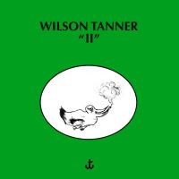 Виниловая пластинка Wilson Tanner - II (Black Vinyl LP)