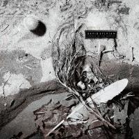 Виниловая пластинка David Sylvian - Secrets Of The Beehive (Yellow Opaque Black Vinyl LP)
