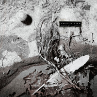 Виниловая пластинка David Sylvian - Secrets Of The Beehive (Yellow Opaque Black Vinyl LP)