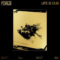 Виниловая пластинка Foals - Life Is Dub (coloured) (Сoloured Vinyl LP)