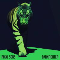 Виниловая пластинка Rival Sons - Darkfighter (Clear Vinyl LP)
