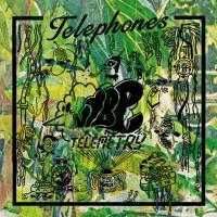 Виниловая пластинка Telephones - Vibe Telemetry (Black Vinyl 2LP)