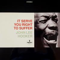Виниловая пластинка John Lee  Hooker - It Serve You Right To Suffer (Analogue) (Black Vinyl 2LP)