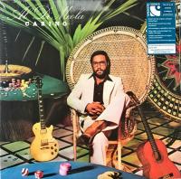 Виниловая пластинка Al Di Meola - Casino