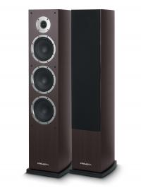 Напольная акустическая система Premiera DS-631M MC