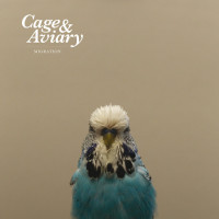 Виниловая пластинка Cage & Aviary - Migration (Black Vinyl 2LP)