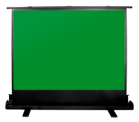 Экран Cactus GreenFloorExpert CS-PSGFE-200x150