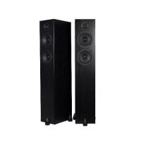 Напольная акустика Totem Acoustic Bison Twin Tower Black Ash