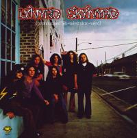 Виниловая пластинка Lynyrd Skynyrd - (Pronounced 'Leh-'nerd 'Skin-'nerd) (Analogue) (Black Vinyl LP)
