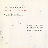 Виниловая пластинка Anouar Brahem - After The Last Sky (Black Vinyl 2LP)