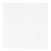 Микрофибра Analog Renaissance White (20х20 см)