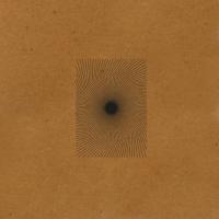 Виниловая пластинка The Analog Roland Orchestra - Home (Black Vinyl 2LP)