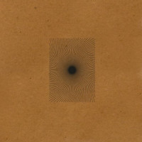 Виниловая пластинка The Analog Roland Orchestra - Home (Black Vinyl 2LP)