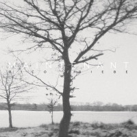 Виниловая пластинка Rico Friebe - Maintenant (Black Vinyl LP)