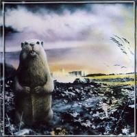 Виниловая пластинка Неприкасаемые - Брел, брел, брел (Black Vinyl 2LP)