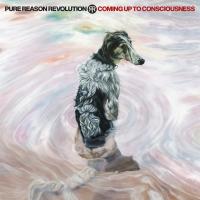 Виниловая пластинка Pure Reason Revolution - Coming Up To Consciousness (Blue Vinyl LP)