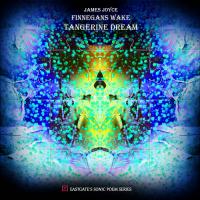 Виниловая пластинка Tangerine Dream - Finnegans Wake (Black Vinyl 2LP)