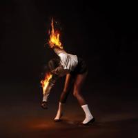 Виниловая пластинка St. Vincent - All Born Screaming (Black Vinyl LP)