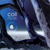Виниловая пластинка Coil - Musick To Play In The Dark 2 (Black Vinyl 2LP)