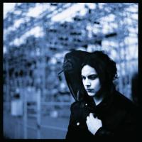 Виниловая пластинка Jack White - Blunderbuss (Black Vinyl LP)
