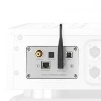 Опциональный стриминговый модуль Dan D’Agostino Momentum С2 Preamplifier Digital Streaming Module
