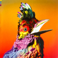 Виниловая пластинка Flume - Palaces (Black Vinyl 2LP)