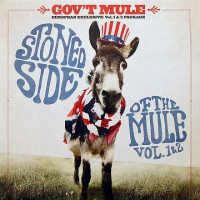 Виниловая пластинка Gov't Mule - Stoned Side Of The Mule (Blue & Red Vinyl 2LP)