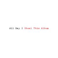 Виниловая пластинка Rico Puestel - All Day I Steal This Album (Black Vinyl 2LP)