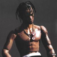 Виниловая пластинка Travis Scott - Rodeo (Black Vinyl 2LP)
