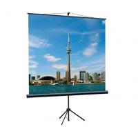 Экран на штативе Lumien [LEV-100108] Eco View 203x203см (раб.область 195х195 см) Matte White