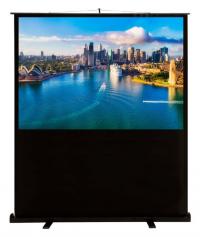 Экран Cactus FloorCompactExpert CS-PSFLCE-160x120