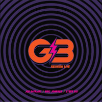 Виниловая пластинка Joe Satriani, Johnson Eric; Vai, Steve - Reunion Live (Box) (4LP+2CD, Coloured, Book)