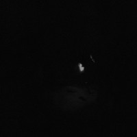 Виниловая пластинка Paysage D'Hiver - Nacht (Black Vinyl 2LP)