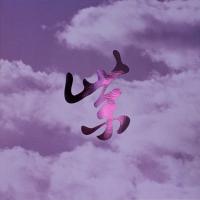 Виниловая пластинка Stone Temple Pilots - Purple Rarities (Limited Purple Vinyl LP)