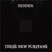 Виниловая пластинка These New Puritans - Hidden (MMXX) (10th Anniversarym, Black Vinyl 2LP)