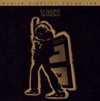 Виниловая пластинка T. Rex - Electric Warrior (Original Master Recording) (Black Vinyl 2LP)