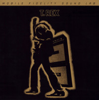 Виниловая пластинка T. Rex - Electric Warrior (Original Master Recording) (Black Vinyl 2LP)